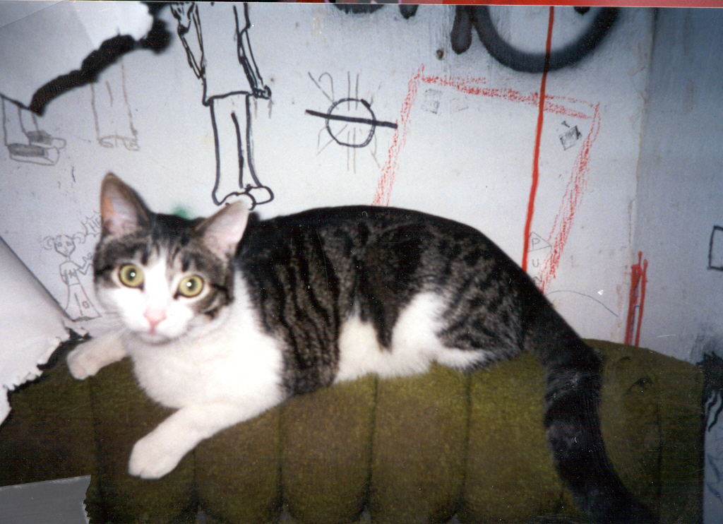 wendel